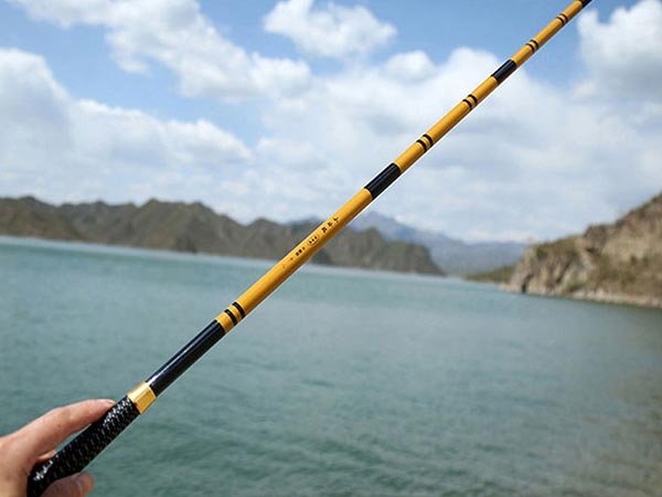 Fishing rod Fishing rod